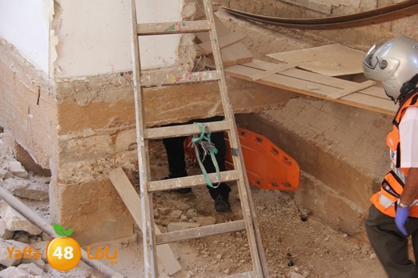 mabna inu910y (6).JPG